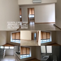 8 @ Mount Sophia (D9), Condominium #172564982